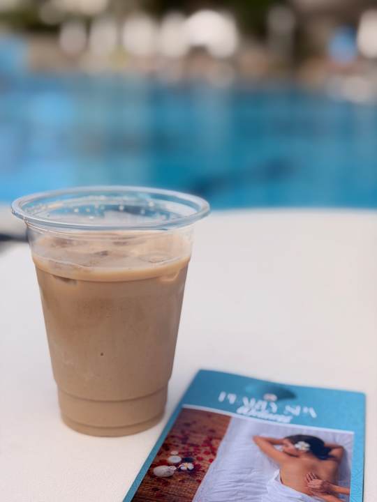 Gastro Seashell Vega