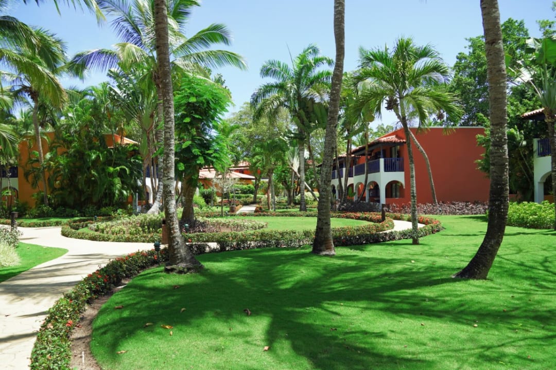 Gartenanlage Catalonia Royal La Romana - Adults only