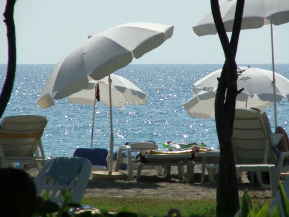Ein Blick vom Garten aufs Meer. Labranda Alantur Resort