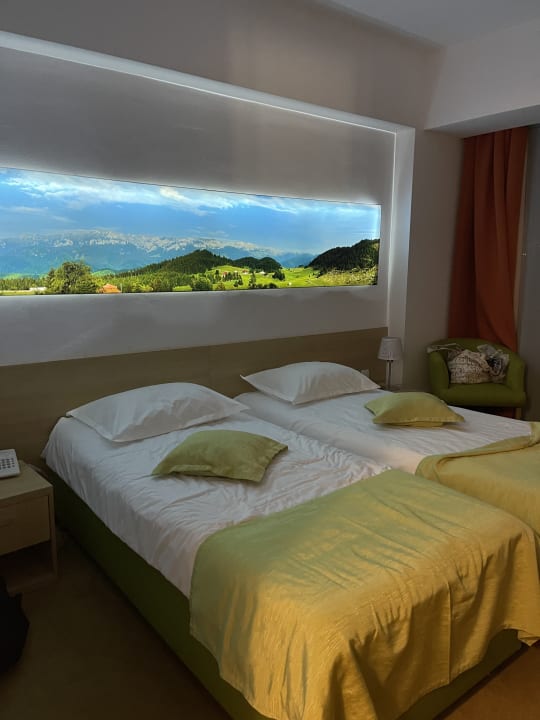 Zimmer Complex Silva