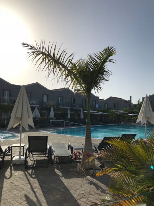 Pool LIVVO Los Calderones