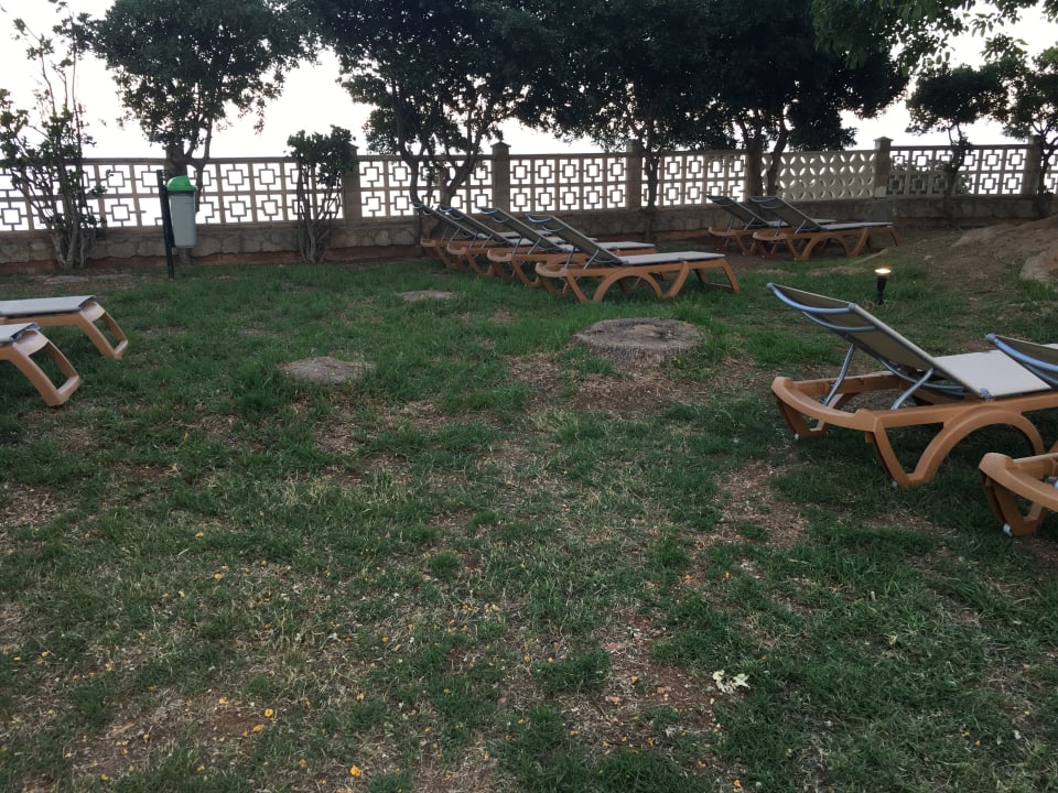 Gartenanlage Alua Calas de Mallorca Resort