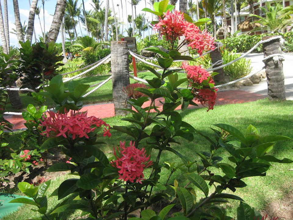 Garten Grand Palladium Select Bávaro Resort & Spa