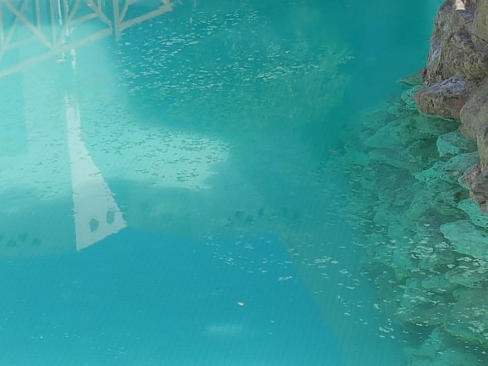 Pool Ghazala Gardens