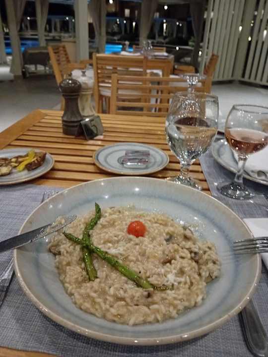 Gastro JAZ Elite Casa del Mar Beach