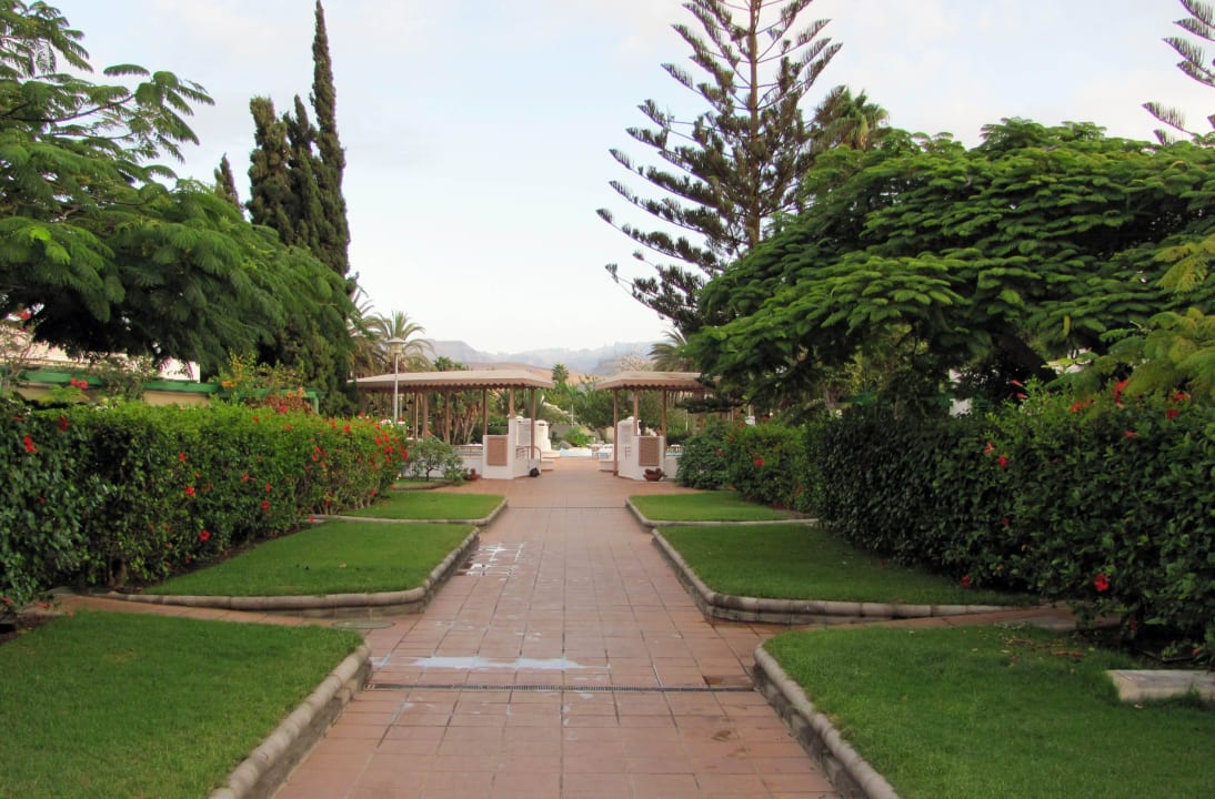 Blick zum Pool Bungalows Cordial Sandy Golf