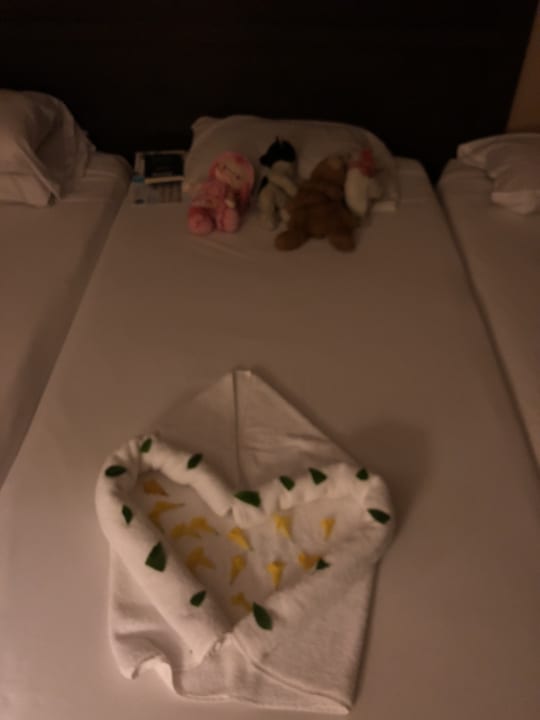 Zimmer Jaz Dar EL Madina