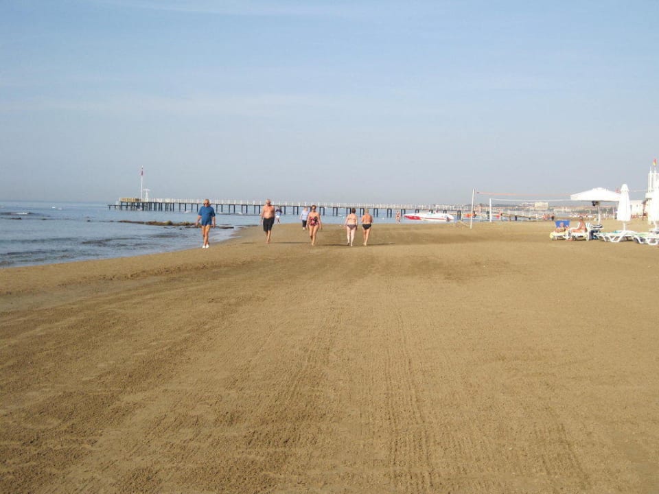 Strand Arum Barut Collection