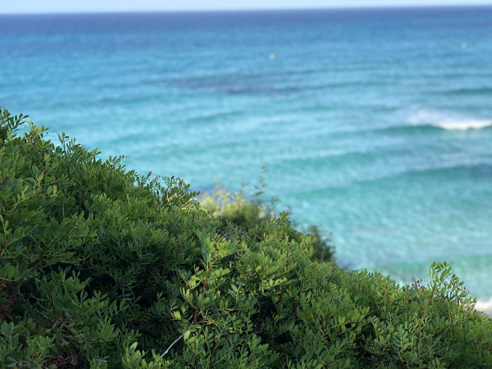 Strand VIVA Cala Mesquida Suites & Spa 16+