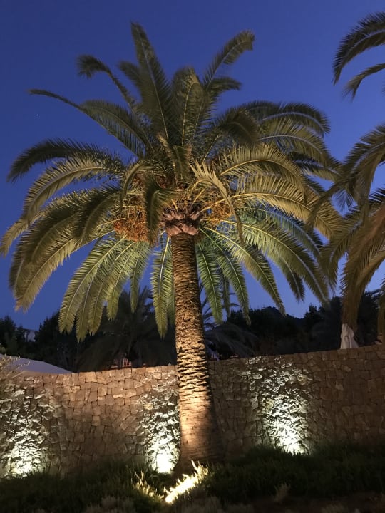 Sonstiges Canyamel Park Hotel & Spa 16+ Adults only