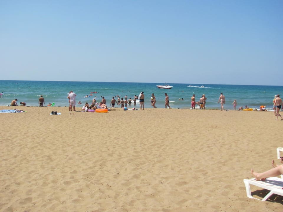 Breiter Strandabschnitt vom Hotel Orfeus Hotel Orfeus Park