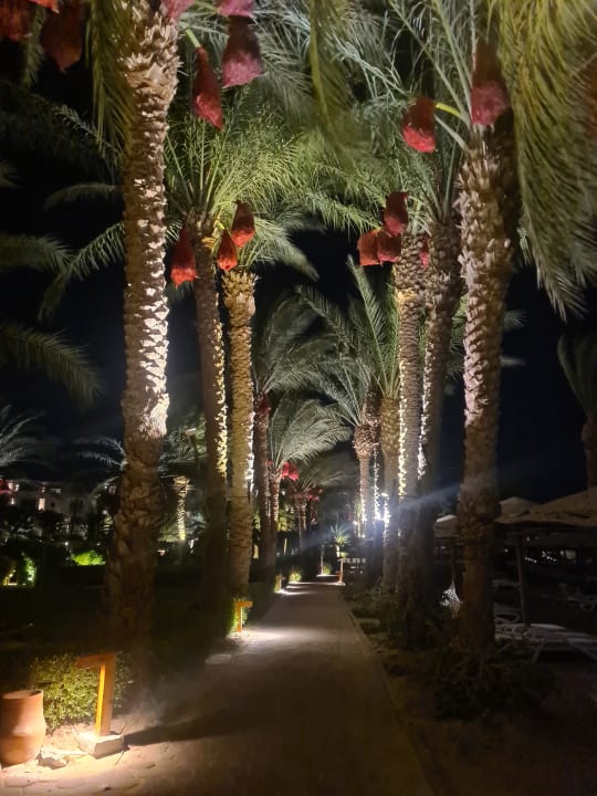Sonstiges Fort Arabesque Resort, Spa & Villas