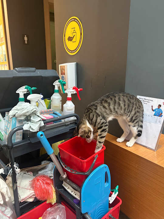 Zimmer Belek Beach Resort Hotel