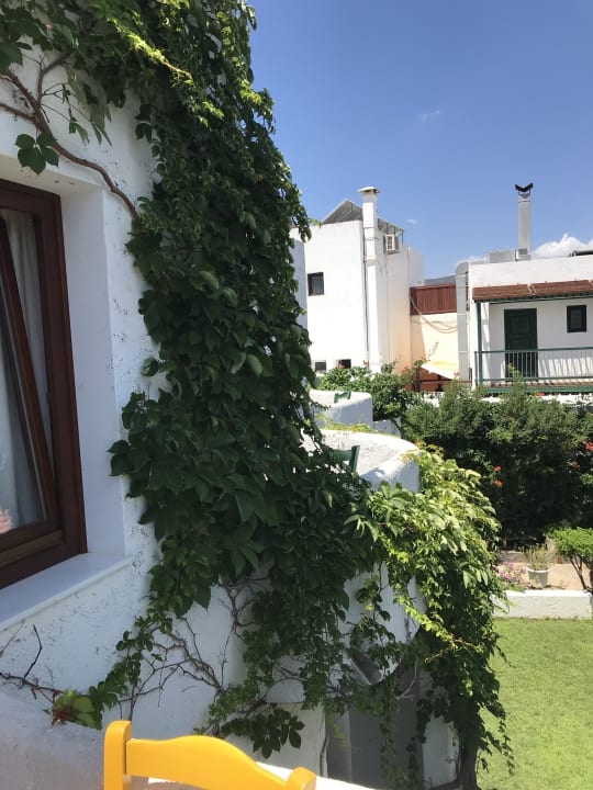 Zimmer Kalypso Hotel