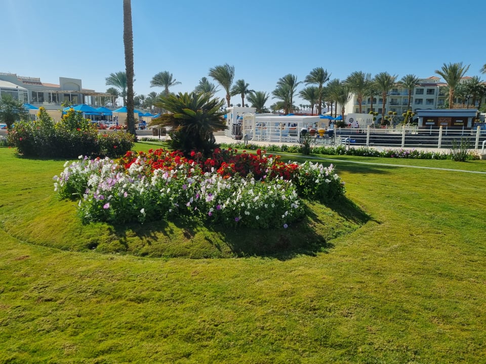 Gartenanlage Pickalbatros Dana Beach Resort - Hurghada