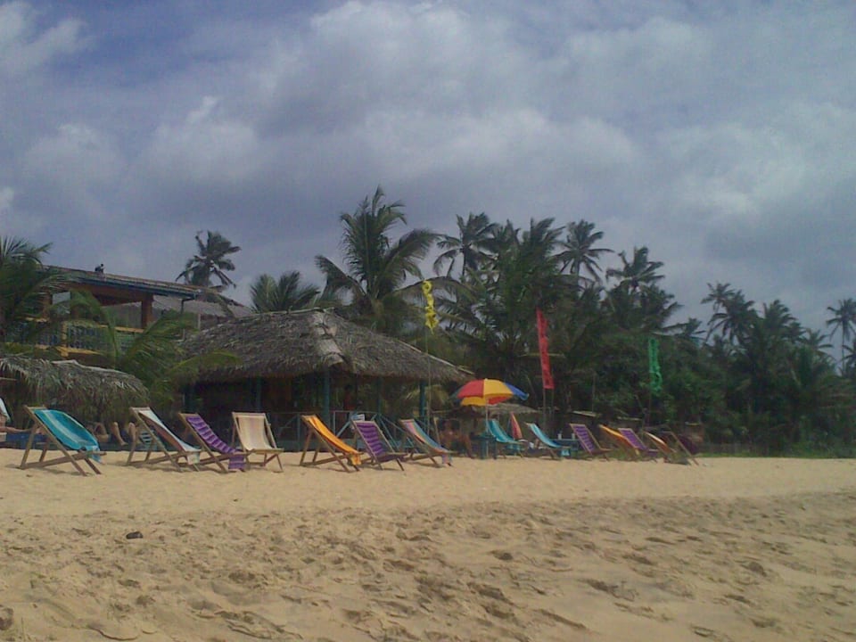 Hier ist die Welt in Ordnung Palm Beach Guesthouse