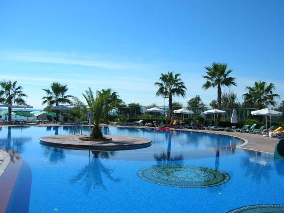 Pool Papillon Belvil