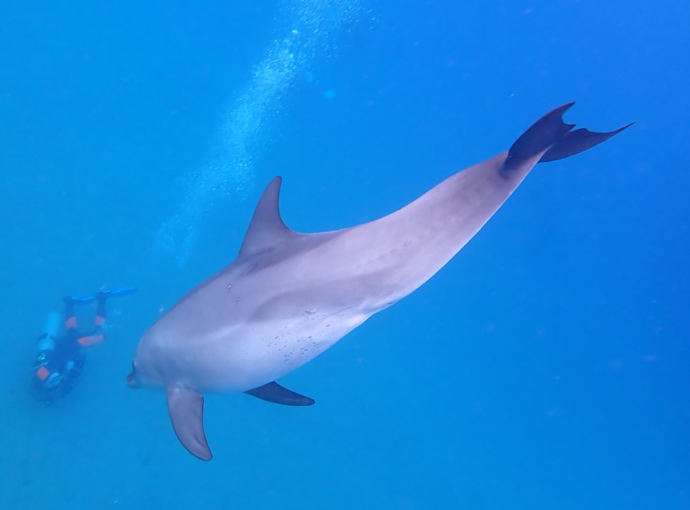 Sport & Freizeit Utopia Beach Club