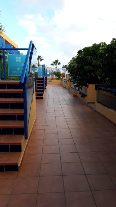 Gartenanlage BLUESEA Jandia Luz