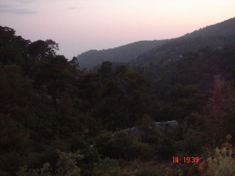 Montana pine Montana Pine Resort