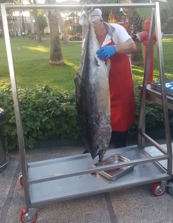 Gastro Labranda Alantur Resort