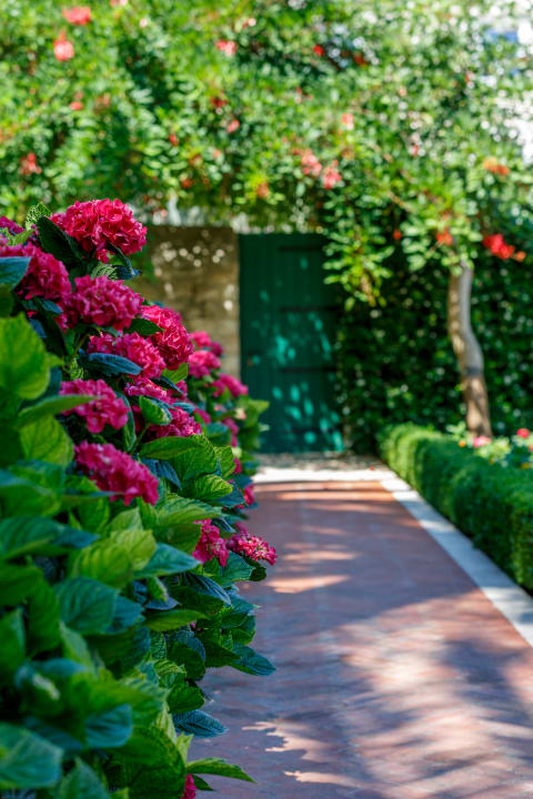 Gartenanlage Hotel Lemongarden