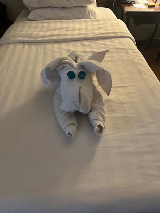 Zimmer Hotel Three Corners Ocean View prestige - Adults only