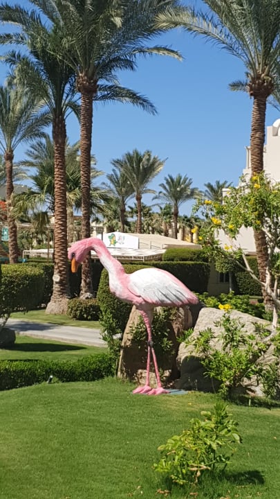 Gartenanlage Hotel JAZ Makadi Star & Spa