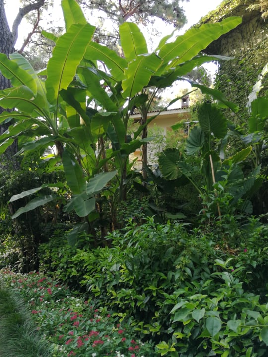 Gartenanlage Ulusoy Kemer Holiday Club