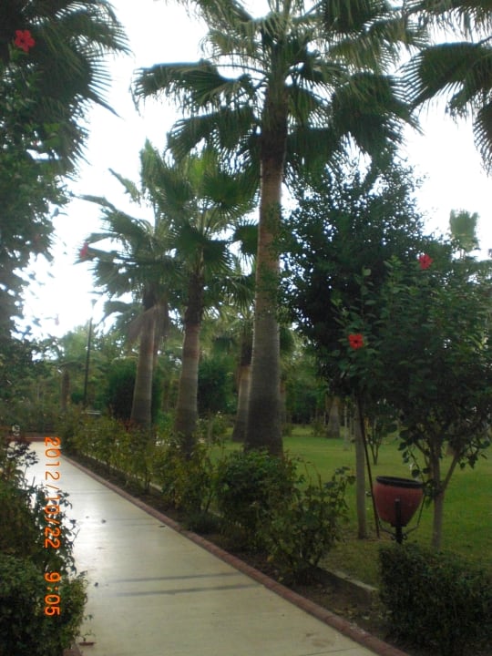 Weg zum Strand Saphir Hotel & Villas