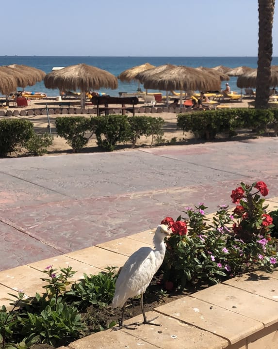 Ausblick Sentido Caribbean World Soma Bay