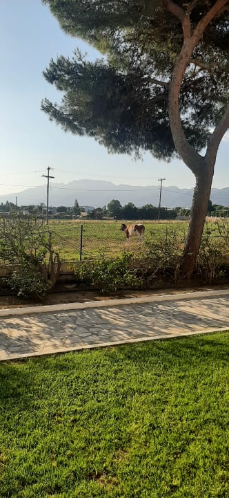 Gartenanlage Smy Kos Beach & Splash