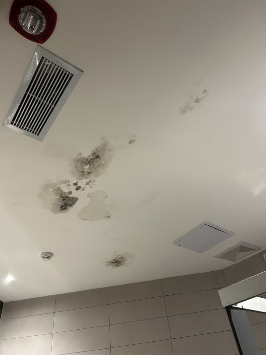 Zimmer Sunscape Dominicus La Romana