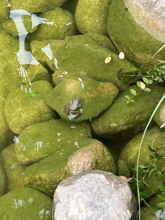 Gartenanlage Labranda Alantur Resort