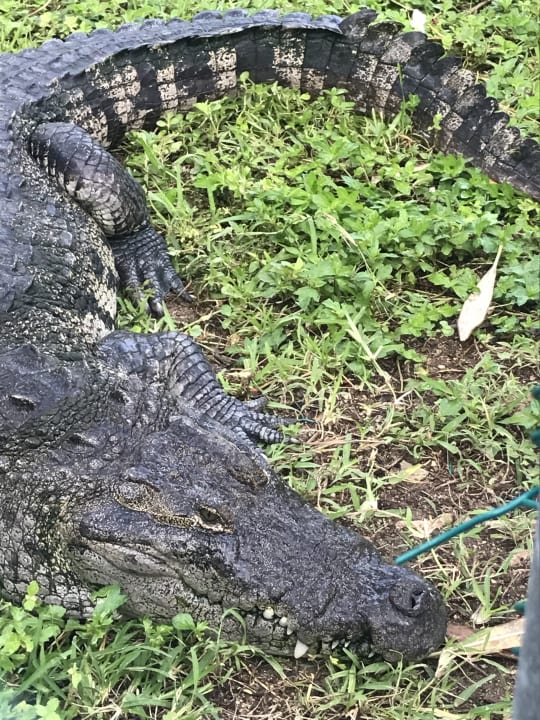 Sonstiges Grand Palladium Kantenah Resort & Spa