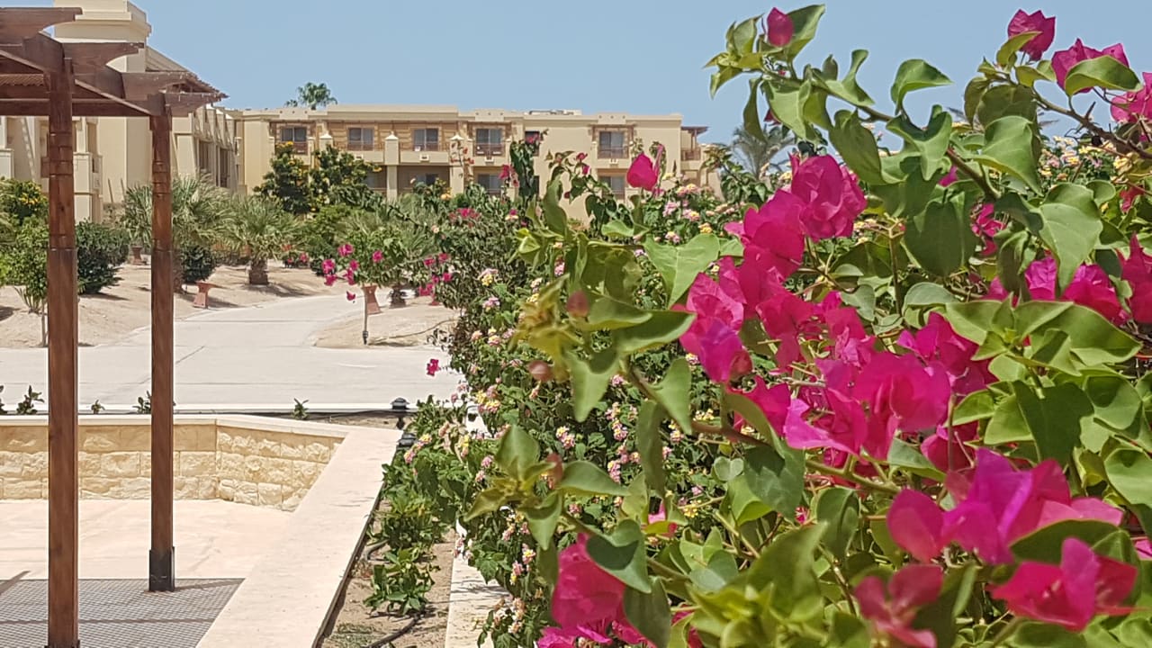 Außenansicht Hotel Sheraton Soma Bay Resort