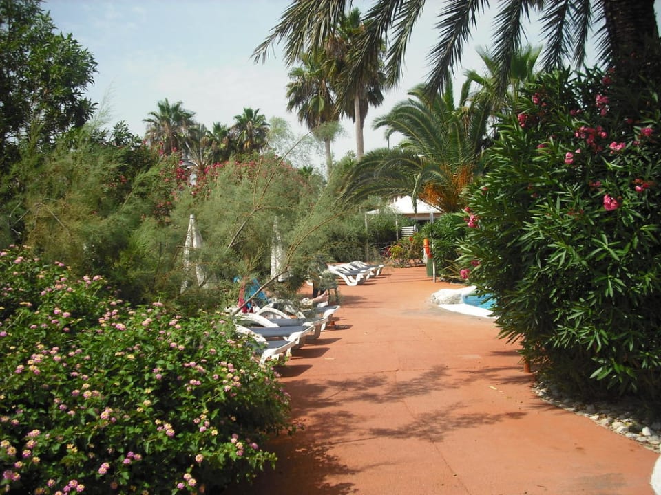 Weg zum Restaurant Garden Saladina