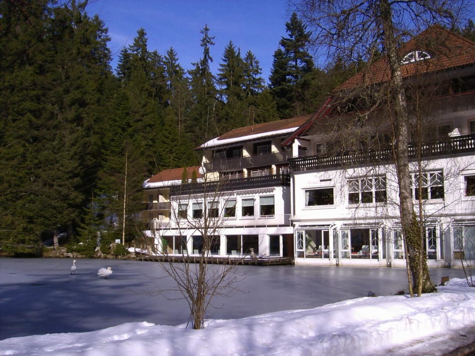Seeseite Hotel Langenwaldsee