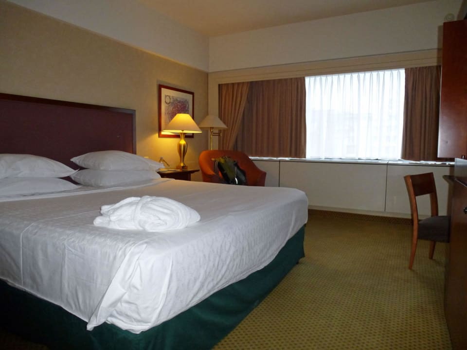 Zimmeransicht (Standardzimmer) Hotel Sheraton Brüssel