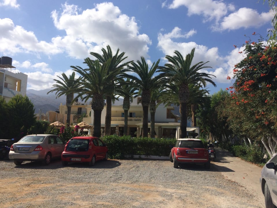 Parkplatz Drossia Palms Hotel - Apartments