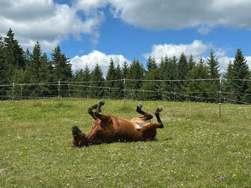 Sonstiges Wanderreithof Kern