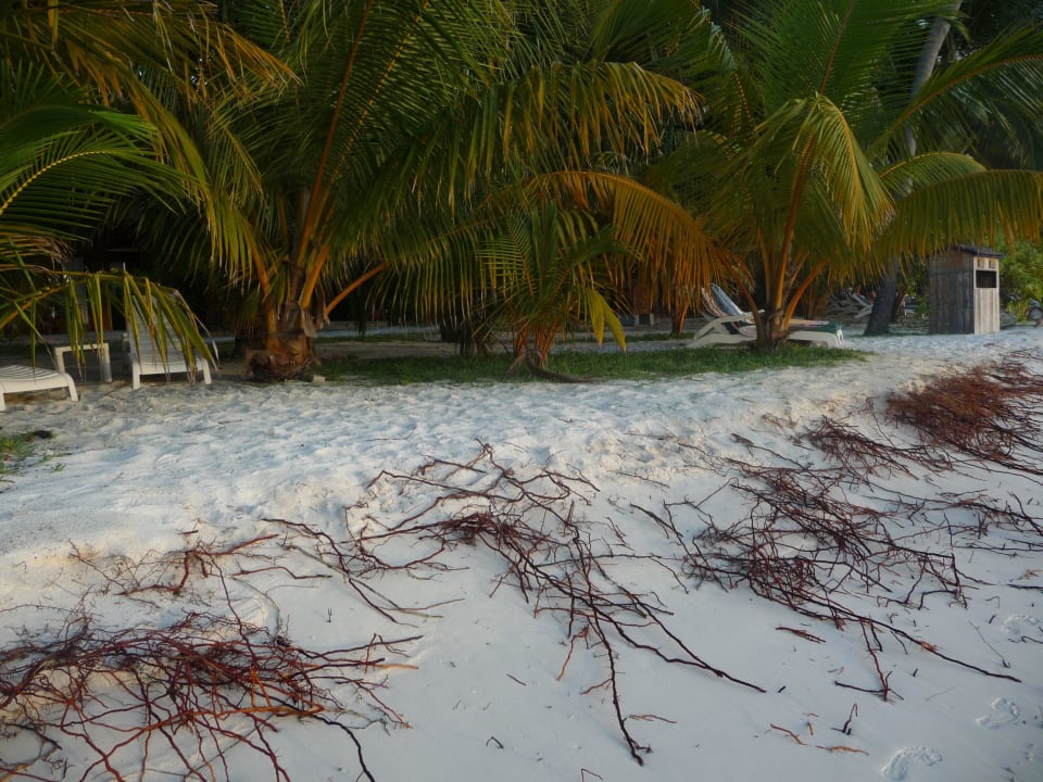 Ministrand im 100er Bereich Meeru Maldives Resort Island