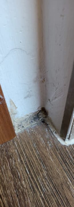 Zimmer Hotel Akazienhof