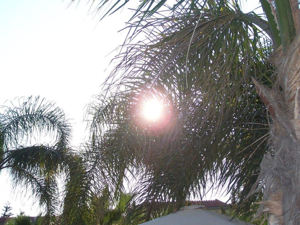 Karibik-Feeling Nelia Sea Breeze