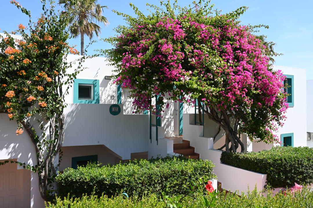 Gartenanlage Mastichari Bay Hotel
