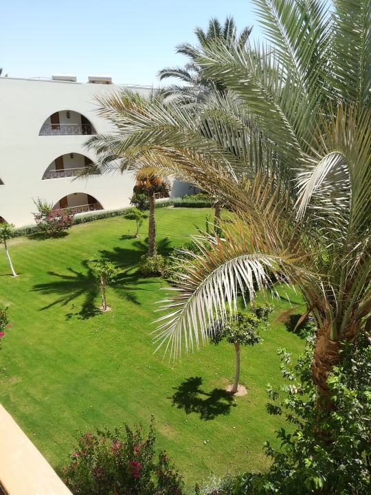 Gartenanlage Desert Rose