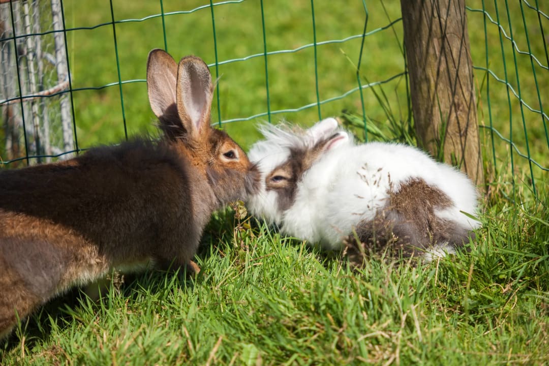 Sport & Freizeit Pension Rennlehen