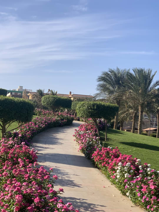 Gartenanlage Hilton Hurghada Plaza