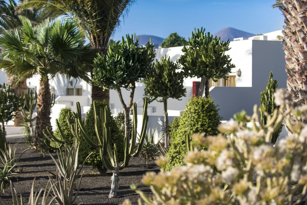 Außenansicht Hotel Floresta