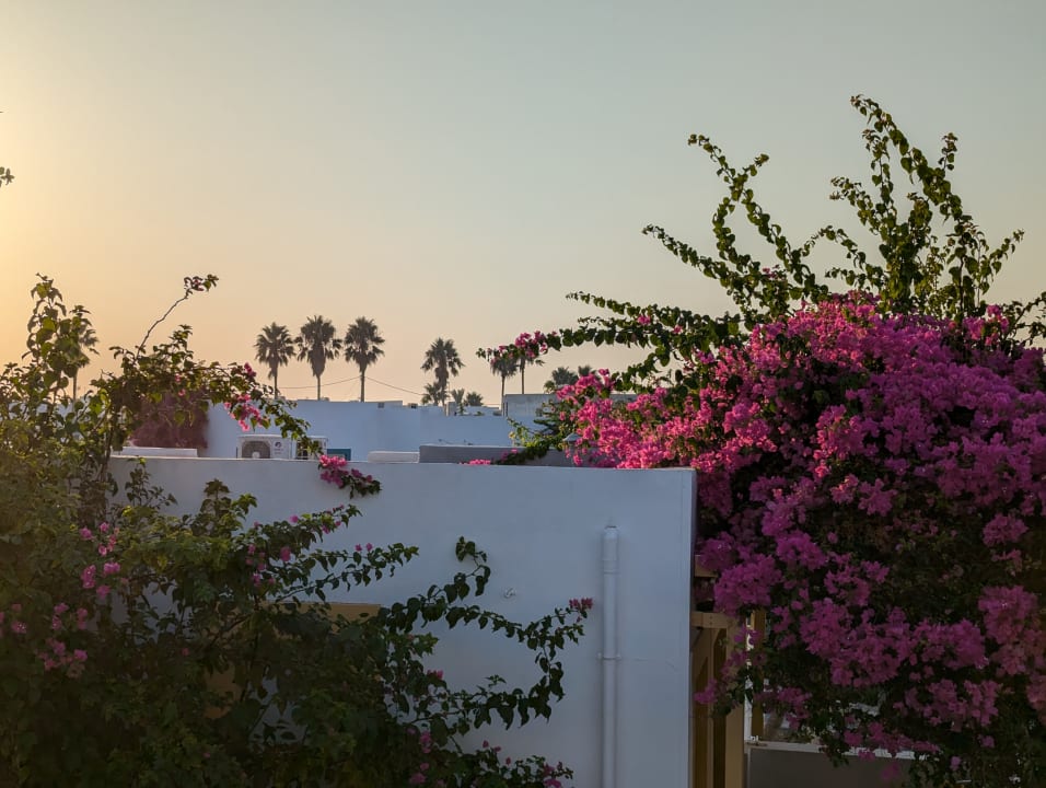 Außenansicht Mastichari Bay Hotel
